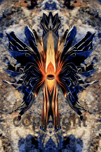 Construction Mentale by Thierry Parezys, 사진 for Sale on Singulart