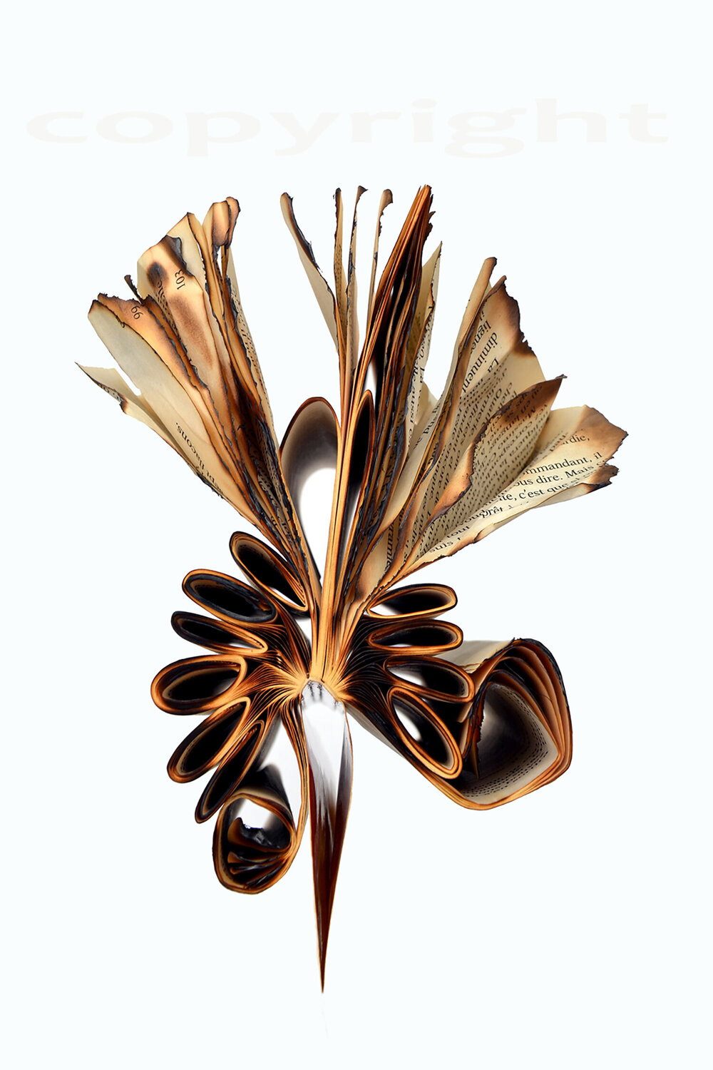 Correspondance VI Thierry Parezys