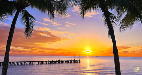 A Beautiful Secret di Fabio Dal Boni, Pittura in vendita su Singulart