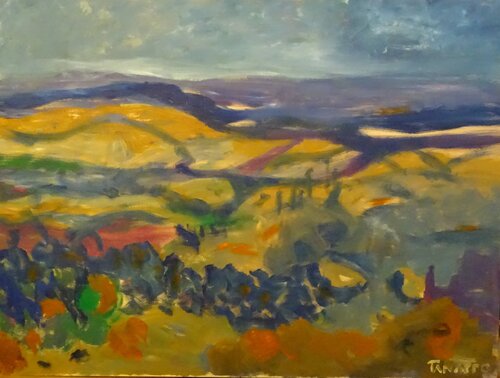 Páramos de Soria 30 van Juan Tanarro, Schilderij te koop op Singulart