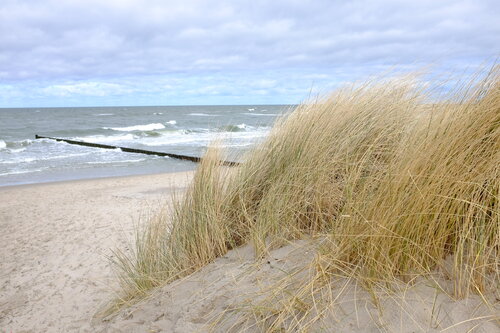 Ostseestrand by Wolfgang Tuttlies-Kolberg, 写真 for Sale on Singulart