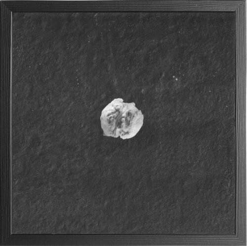 Unding / Non-Thing (0023) von Paul Gross, Fotografie kaufen auf Singulart