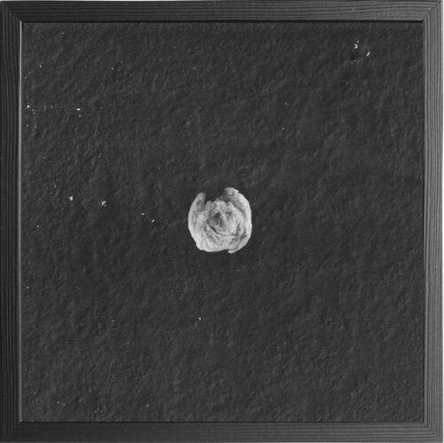 Unding / Non-Thing (0024) von Paul Gross, Fotografie kaufen auf Singulart