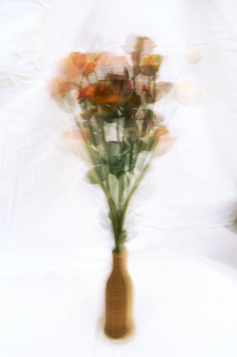 Kinetische Blumen #001 von Paul Gross, Fotografie kaufen auf Singulart