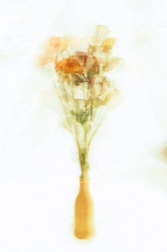 Kinetische Blumen #002 van Paul Gross, Fotografie te koop op Singulart