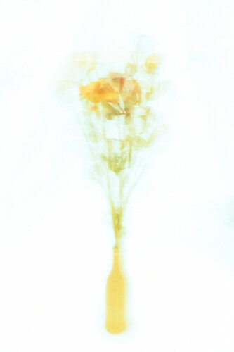 Kinetische Blumen #003 von Paul Gross, Fotografie kaufen auf Singulart