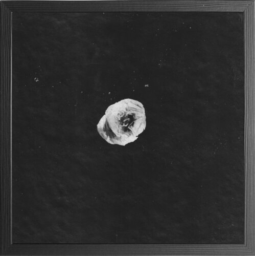 Unding / Non-Thing (0028) Paul Gross