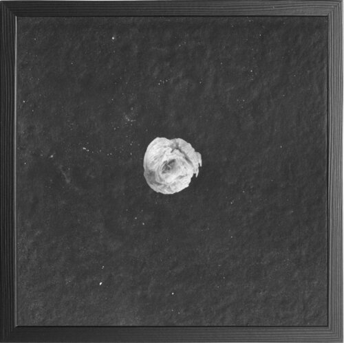 Papiertaschentuch von Paul Gross, Fotografie kaufen auf Singulart