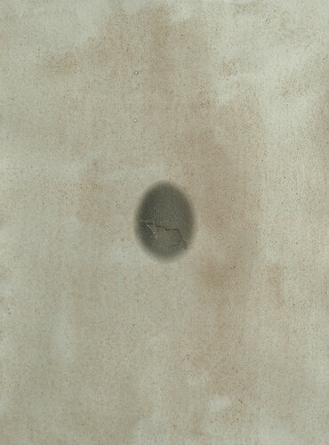 Eierschale von Paul Gross, Fotografie kaufen auf Singulart