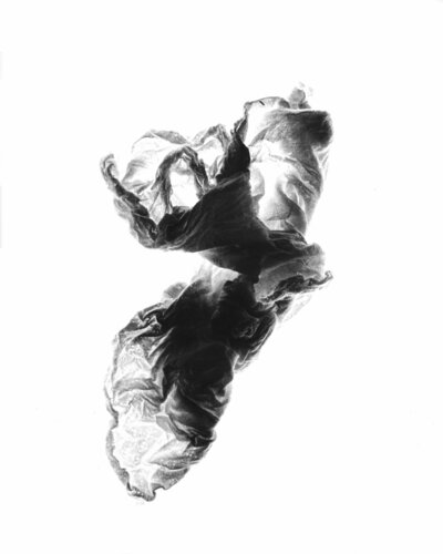 Organische Skulptur von Paul Gross, Fotografie kaufen auf Singulart