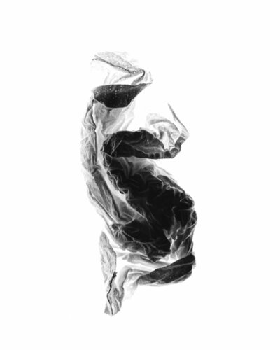 Organische Skulptur von Paul Gross, Fotografie kaufen auf Singulart