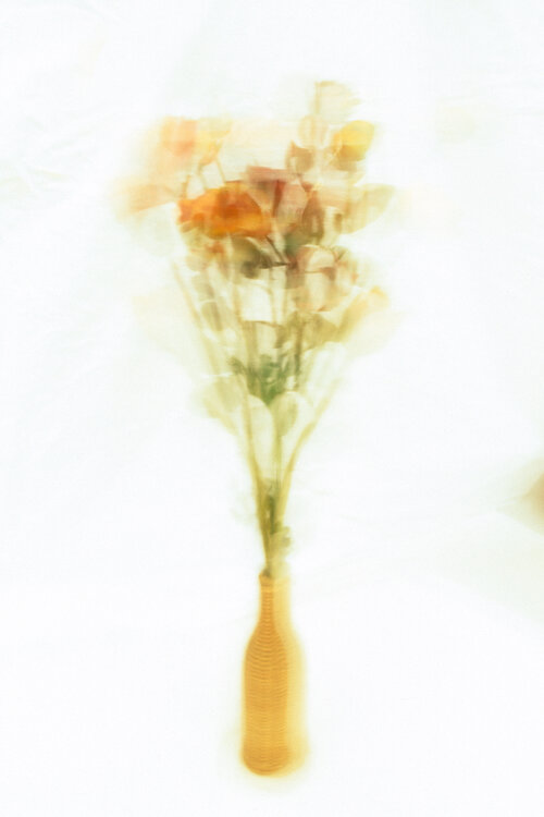 Kinetische Blumen #002 Paul Gross