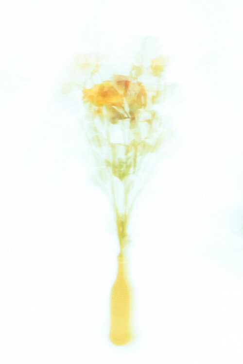 Kinetische Blumen #003 Paul Gross