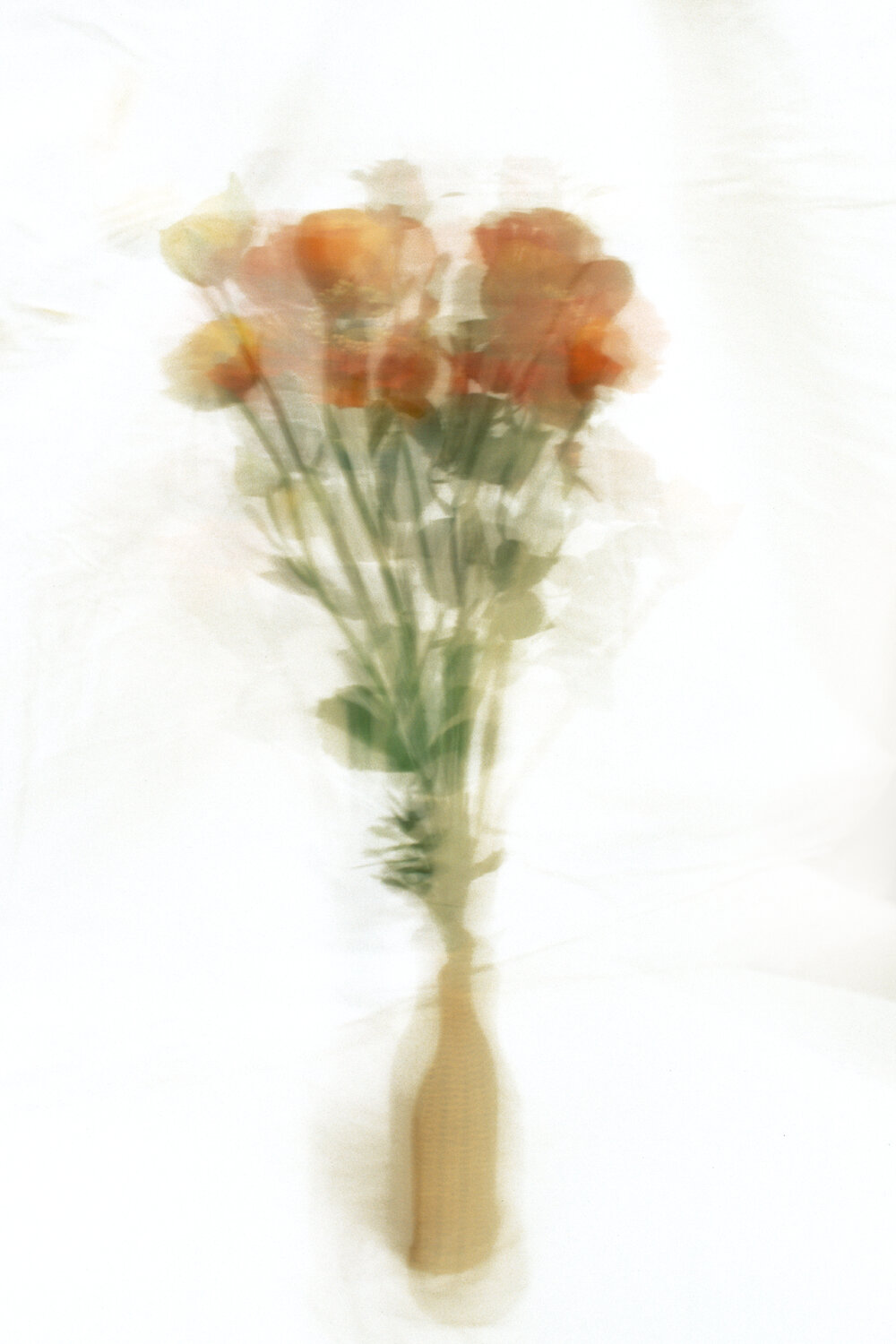 Kinetische Blumen #004 Paul Gross