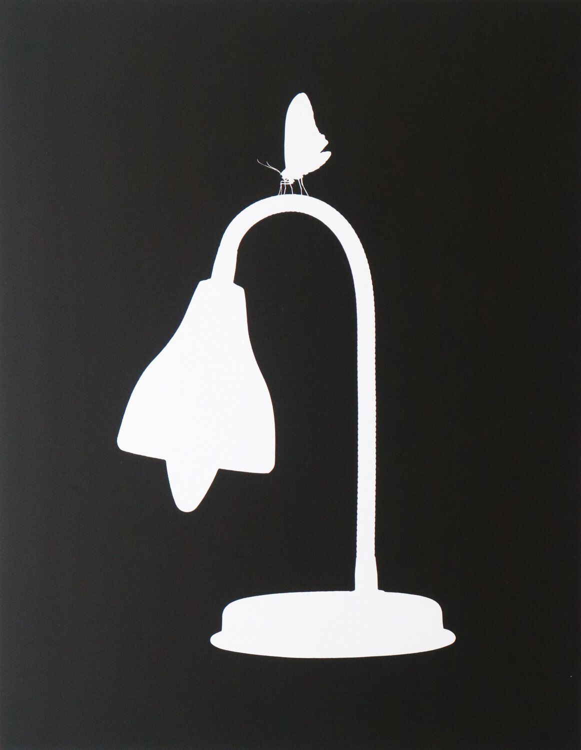 Lampe und Schmetterling Paul Gross