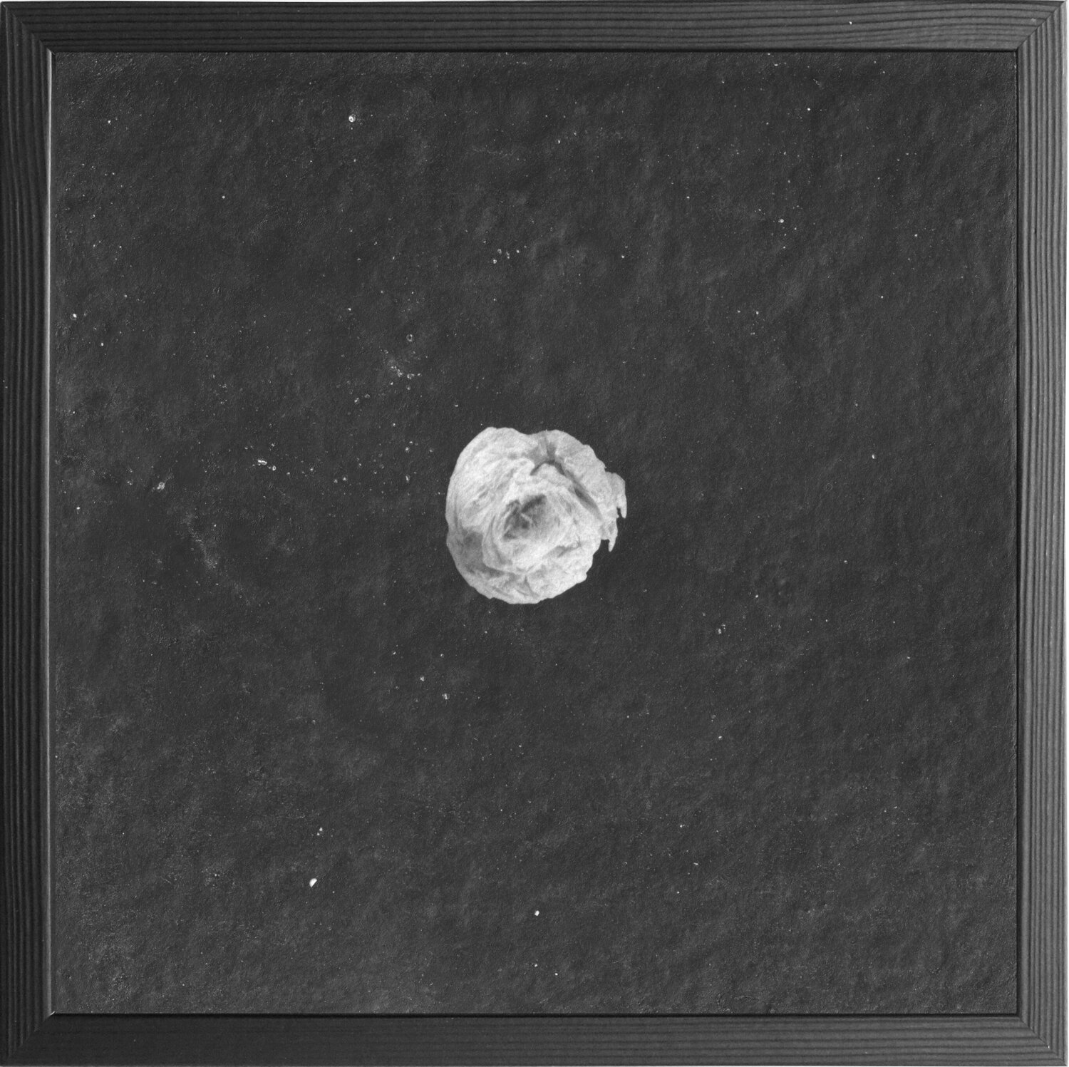 Papiertaschentuch Paul Gross