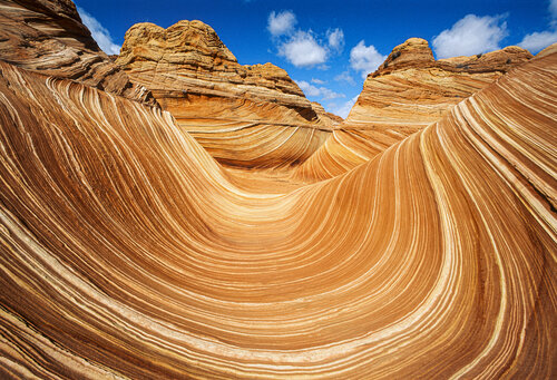 "The Wave" van Norbert Rosing, Fotografie te koop op Singulart