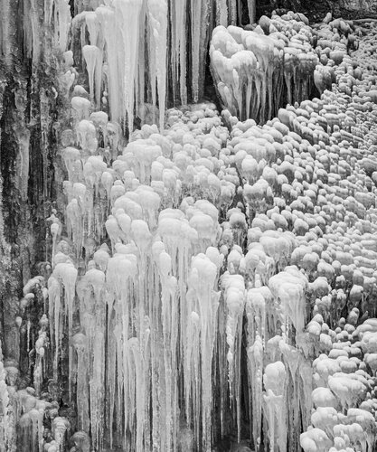 Eis Orgel von Norbert Rosing, Fotografie kaufen auf Singulart