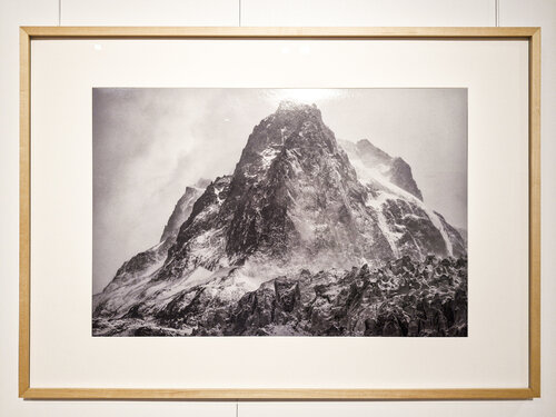 Wilde Antarktis van Norbert Rosing, Fotografie te koop op Singulart