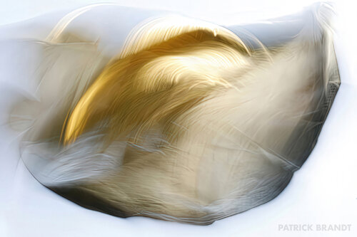 reflector de Patrick Brandt, Fotografía a la venta en Singulart