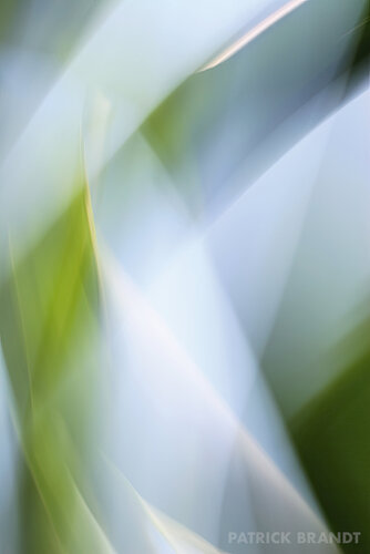 atrium von Patrick Brandt, Fotografie kaufen auf Singulart