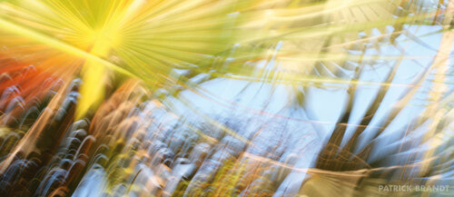 paradise island Patrick Brandt