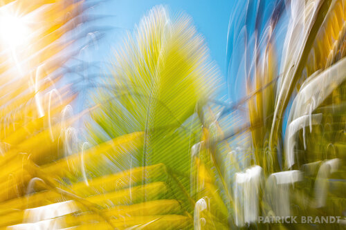 playground van Patrick Brandt, Fotografie te koop op Singulart