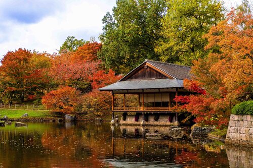 Japanese teahouse von Bert Oerlemans, Fotografie kaufen auf Singulart