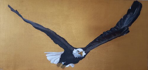 Pygargue en vol van Marguerite de Geuser, Schilderij te koop op Singulart