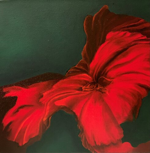 Flamboiement d'un pétale par Sylvie Roy, Peinture en vente sur Singulart