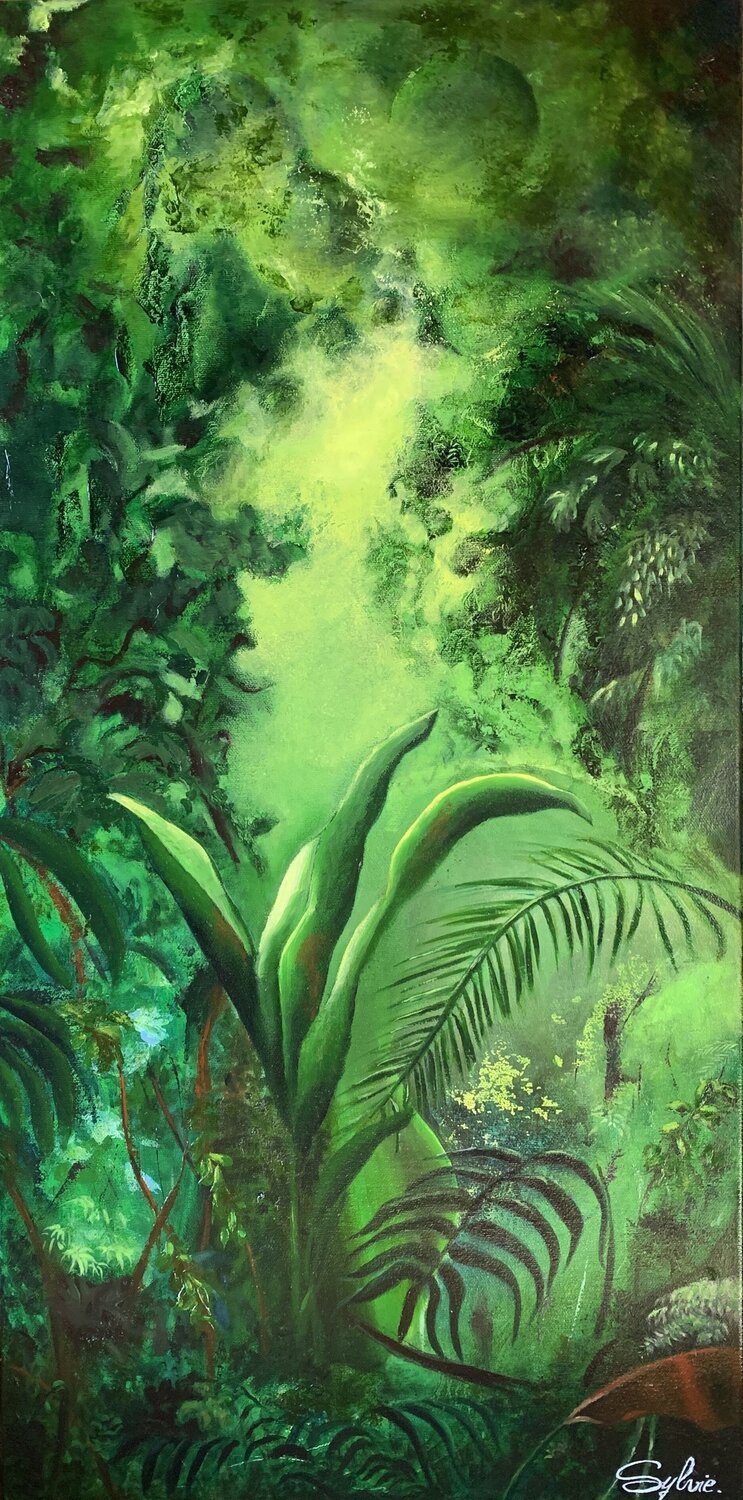 Une jungle imaginaire Sylvie Roy