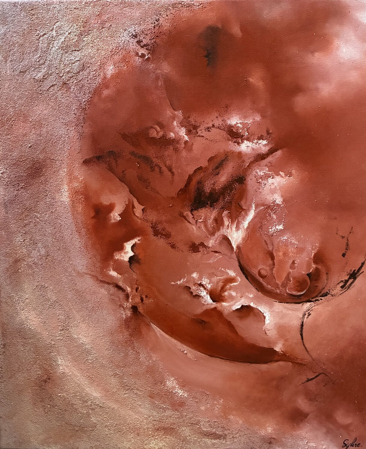 Souffle de la Terre Sylvie Roy