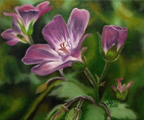 Whispering Petals di Marija Venclova, Pittura in vendita su Singulart