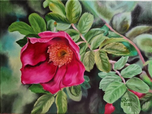 Rosehip Blossom von Marija Venclova, Malerei kaufen auf Singulart