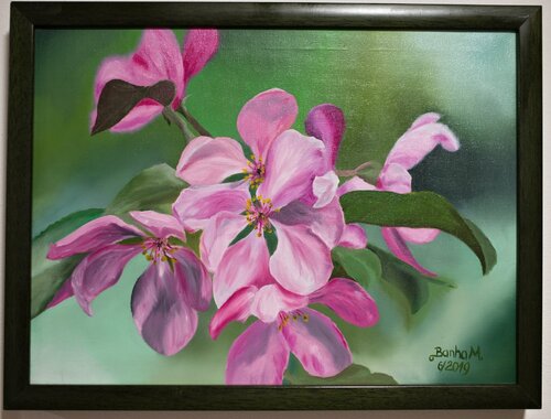 Apple Blossom in Bloom Marija Venclova