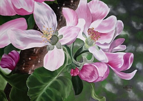 Apple Blossom Dream von Marija Venclova, Malerei kaufen auf Singulart