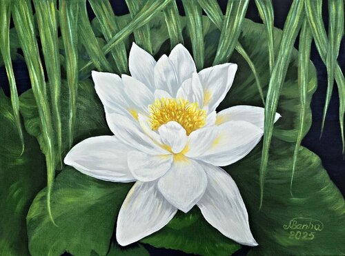 Lotus Harmony di Marija Venclova, Pittura in vendita su Singulart