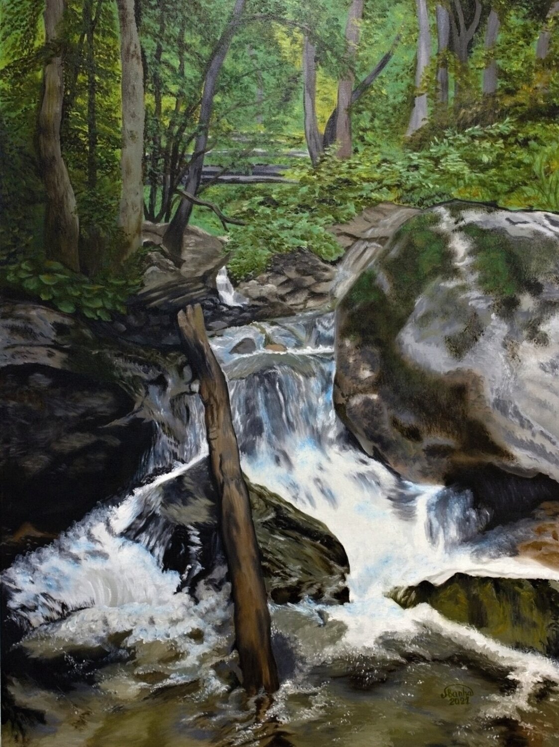 Echo of the Falls Marija Venclova