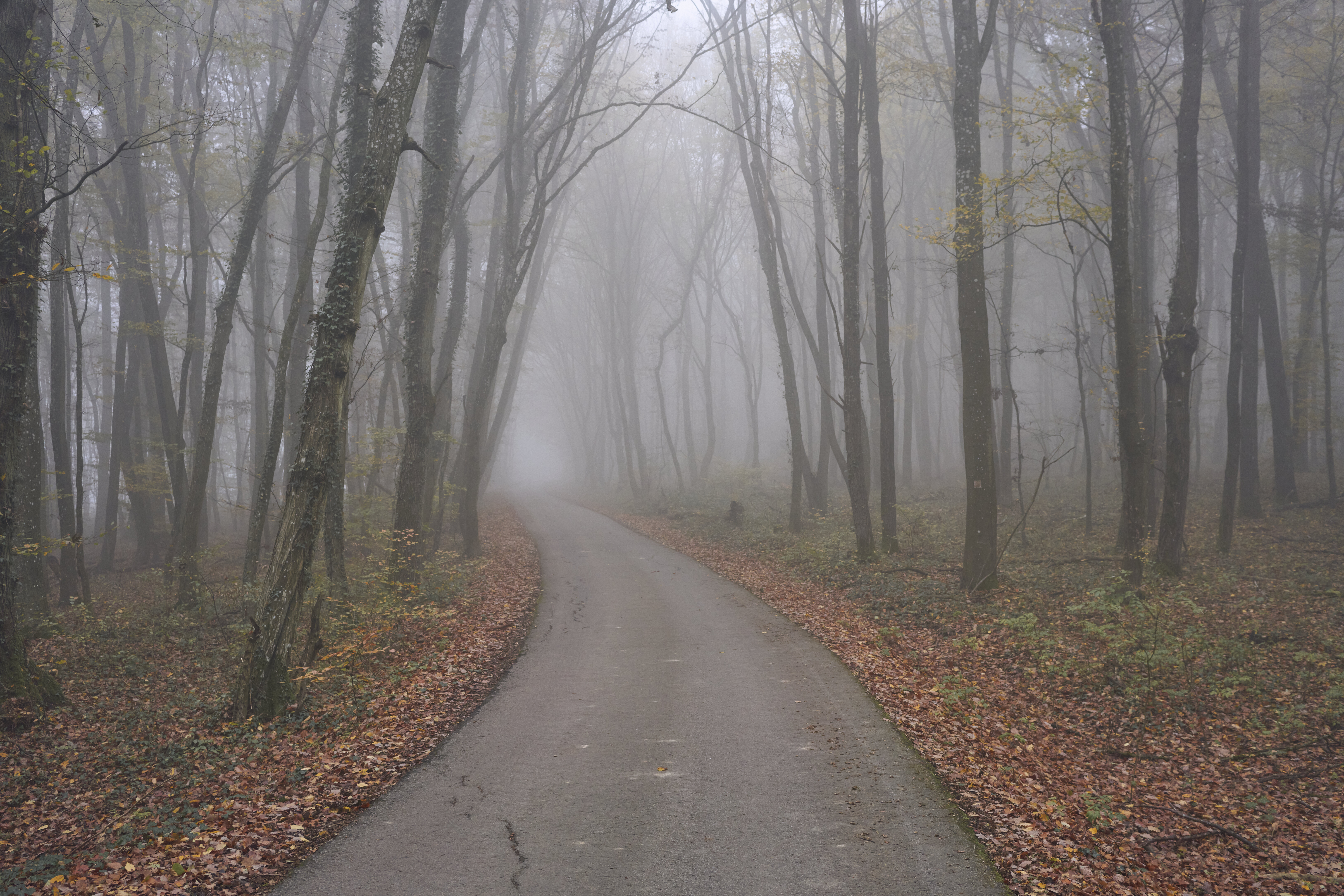 En suivant le chemin...