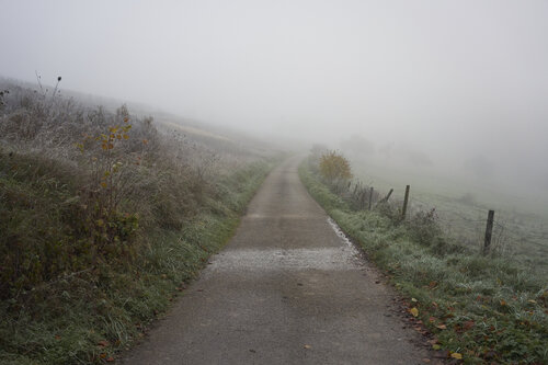 Mist_0132 van Sigitas Baltramaitis, Fotografie te koop op Singulart