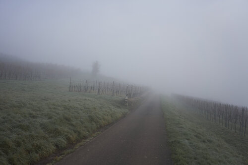 Mist_0220 van Sigitas Baltramaitis, Fotografie te koop op Singulart