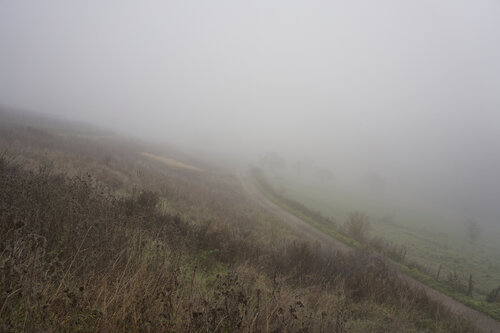 Mist_0269 de Sigitas Baltramaitis, Fotografía a la venta en Singulart