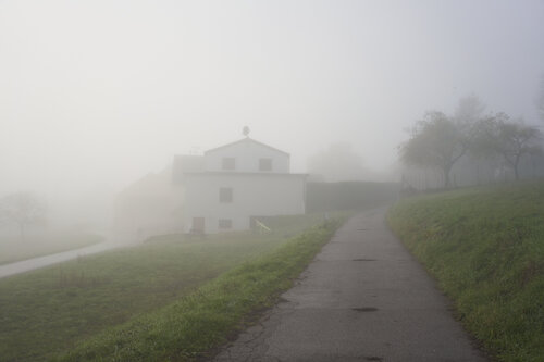 Mist_0658 van Sigitas Baltramaitis, Fotografie te koop op Singulart
