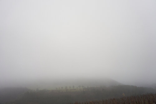 Mist_0464 Sigitas Baltramaitis