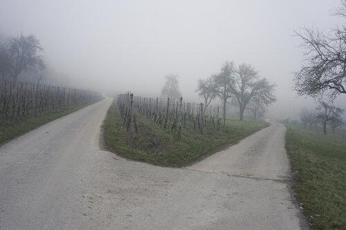 Mist_0500 Sigitas Baltramaitis