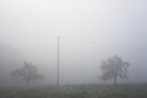 Mist_0628 von Sigitas Baltramaitis, Fotografie kaufen auf Singulart