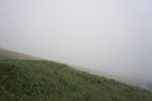 Mist_0665 de Sigitas Baltramaitis, Fotografía a la venta en Singulart