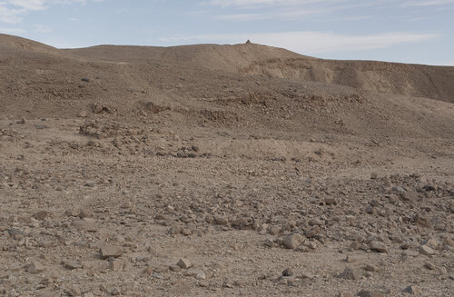 Negev desert 004 de Sigitas Baltramaitis, Fotografía a la venta en Singulart