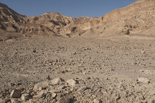 Negev desert 019 van Sigitas Baltramaitis, Fotografie te koop op Singulart
