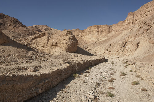 Negev desert 061 van Sigitas Baltramaitis, Fotografie te koop op Singulart